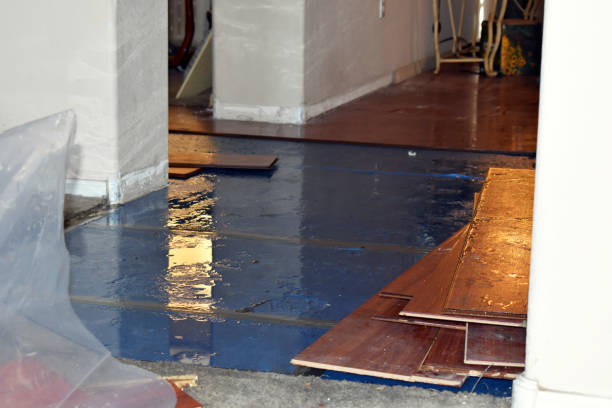 Professional Basement Flood Cleanup technician working in Kosse, TX